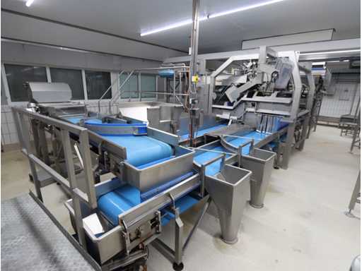 Aardappel sorteerlijn