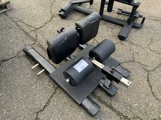 Gym80 sissy squat bench Multi-gym