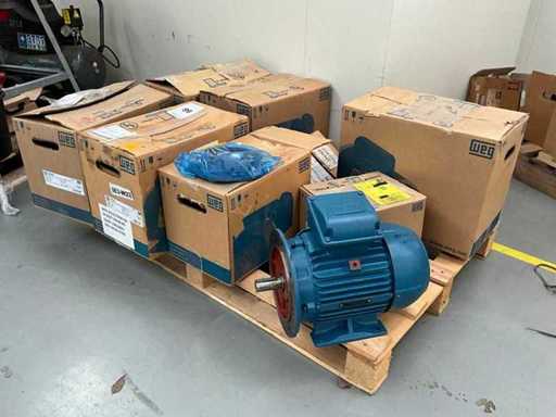 WEG Electric motor (8x)