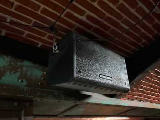 Diffusori Dynacord CX 11 Pro (2x)