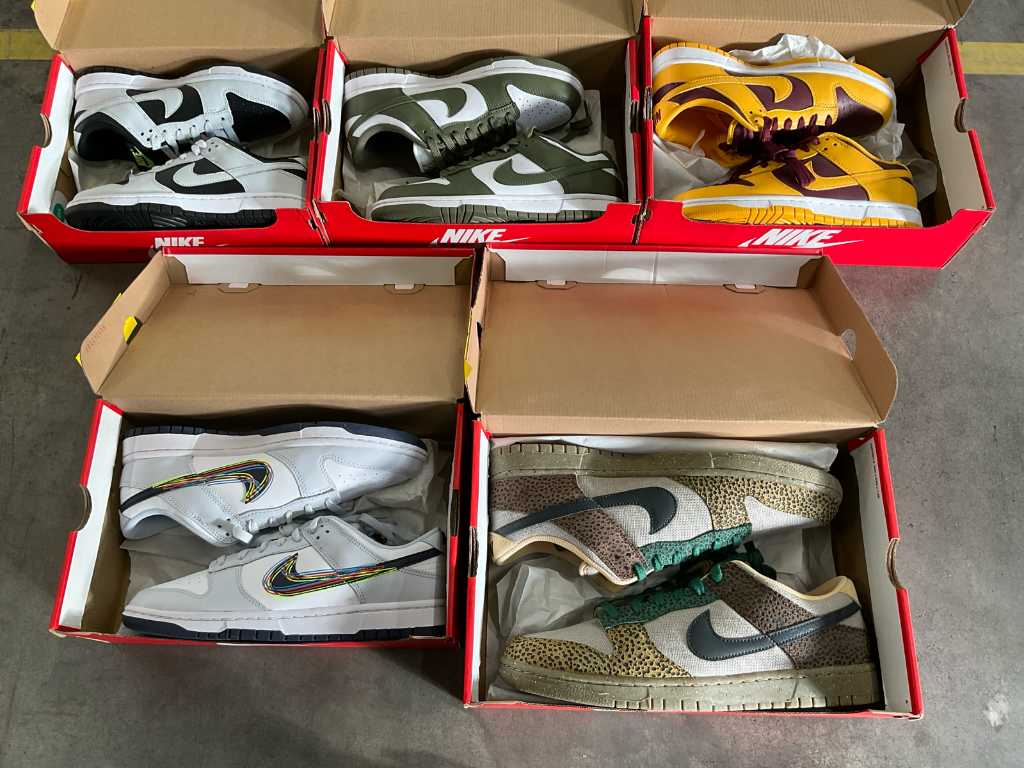 Nike Dunk Low Sneakers (5x)