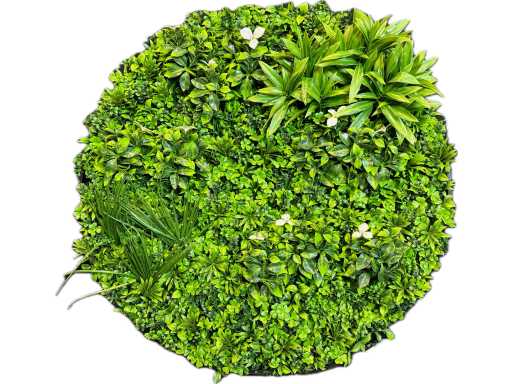 Panel ścienny Royal pachira okrągły (5x)