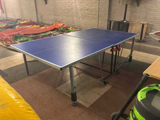 Tavolo da ping-pong