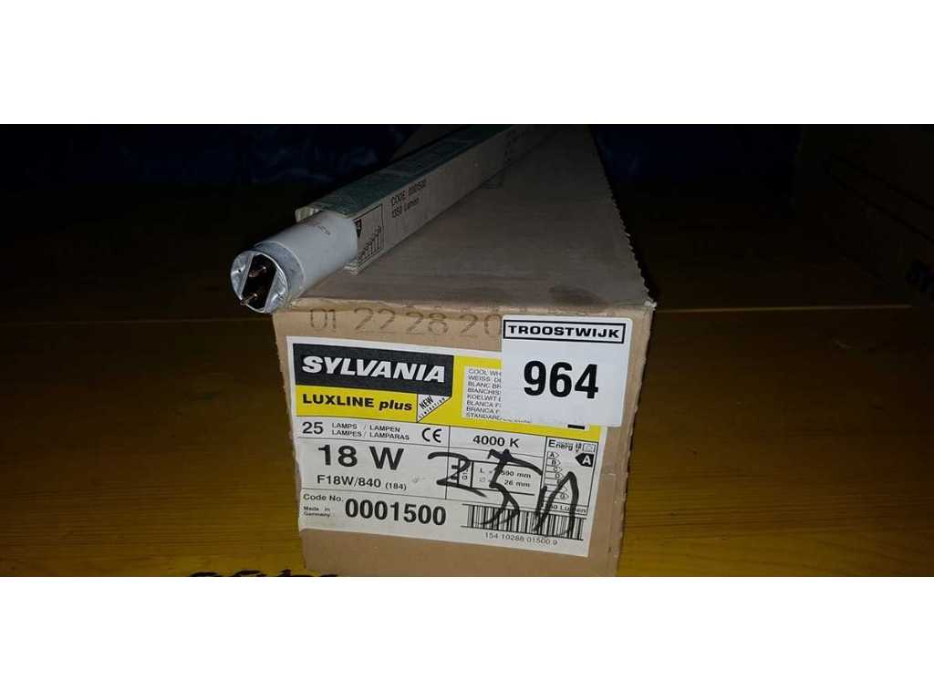 SYLVANIA - LUXLINE PLUS - Neon tubes (25x)