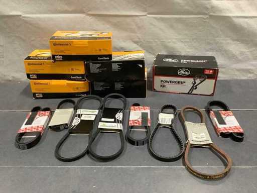 Varie cinture multiple (14x)