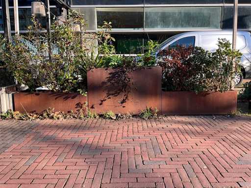 Metalen Plantenbak met inhoud (3x)