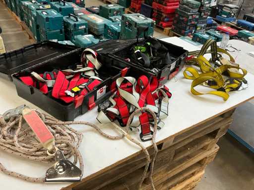 Imbracatura di sicurezza DeWalt (4x)