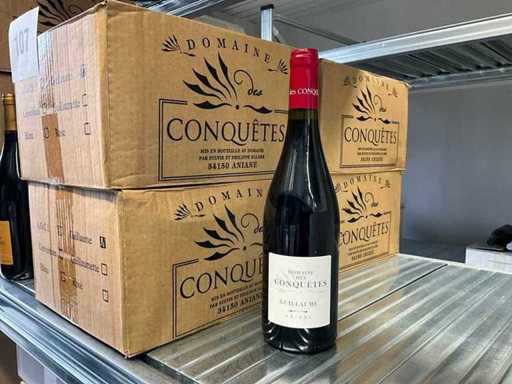 2011 Domaines des conquêtes Guillaume Rotwein (24x)
