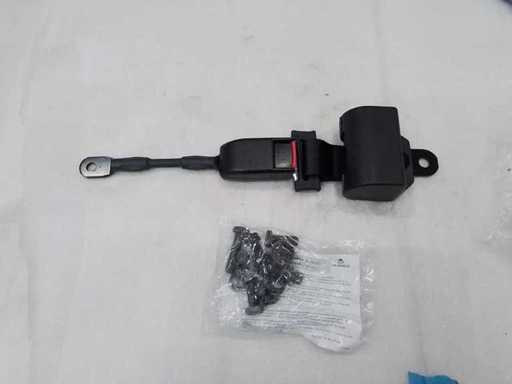 BG Sitztechnik - Gurt - Beckengurt - 2022 (9x)