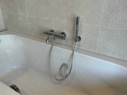 Bath grain with hand shower