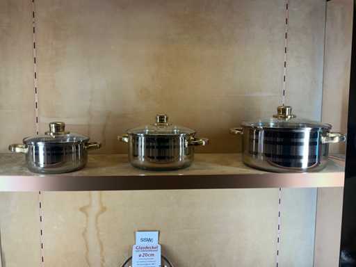 SSW Diverse kookpotten en braadpannen(6x)