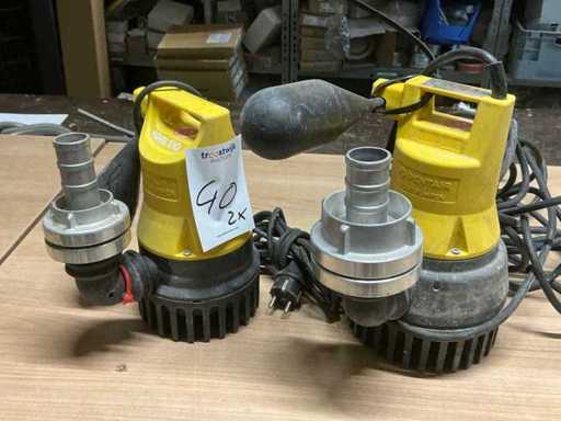 Pentair Pompa Zanurzana (2x)