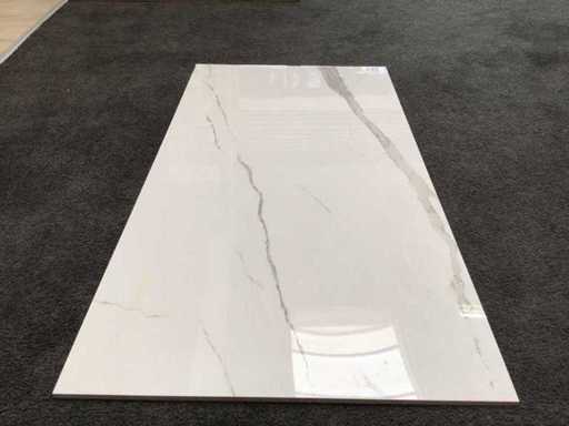 Kutahya Albatros Polished 60x120 cm Tile 51.84 m²