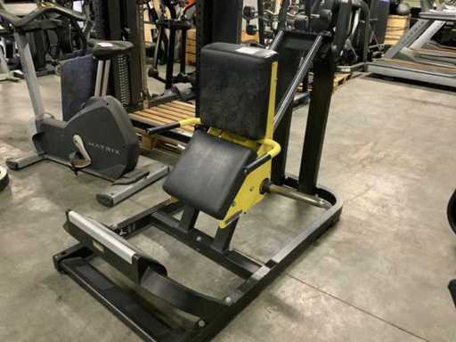 Technogym développé pur pour mollets multi-gym