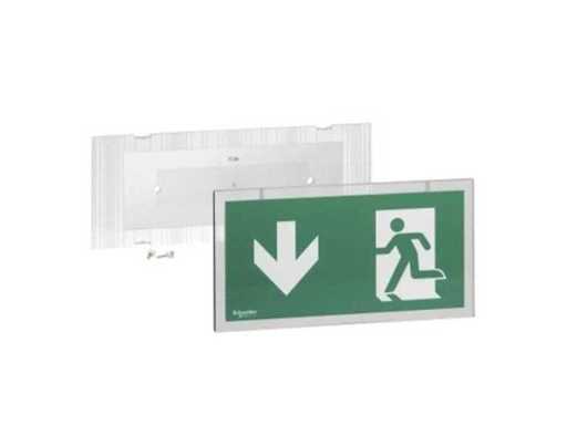Schneider - Exiway ESI - Accesoriu steag - Leak Down - pentru OVA5800/0V (10x)