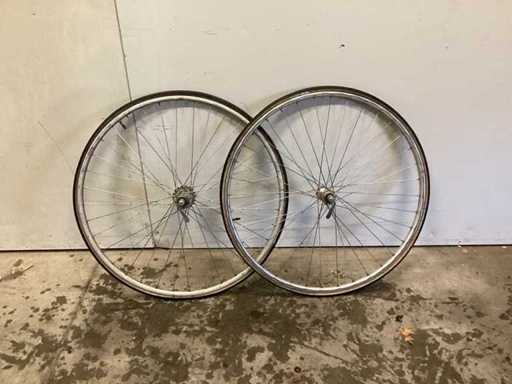 Ruota di gazzella (2x)