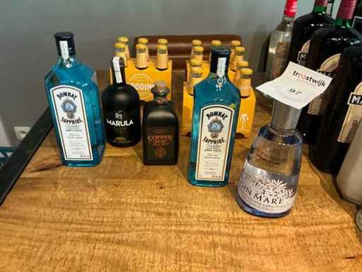 Diverse gin (5x)