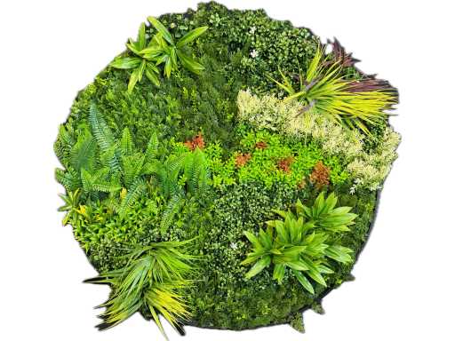 Panel ścienny Royal pachira okrągły (5x)