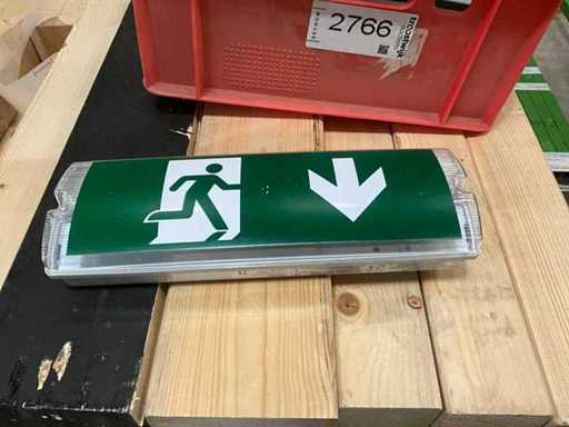 15 x Iluminación fotoluminiscente para salidas de emergencia 10x35cm 220V con batería