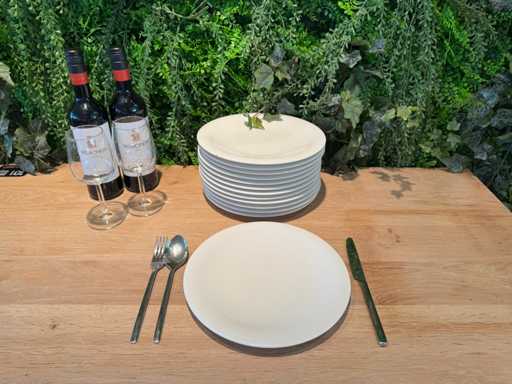 Villeroy & Boch - Dinner plate Ø 27 cm (20x)