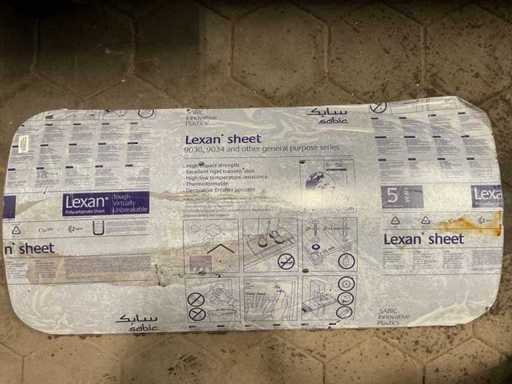 1 set di scudi e una visiera