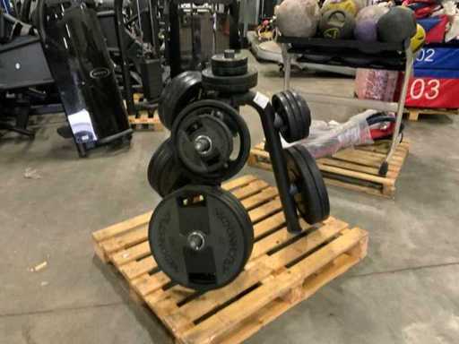 Technogym discs sidea 8x20kg4x10kg ; Centrale électrique de 4x5 kg