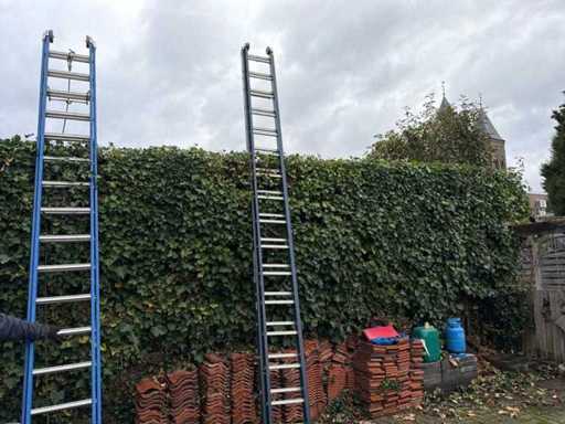 Wienese Uitschuifladder 2x16