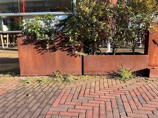 Metalen Plantenbak met inhoud (2x)