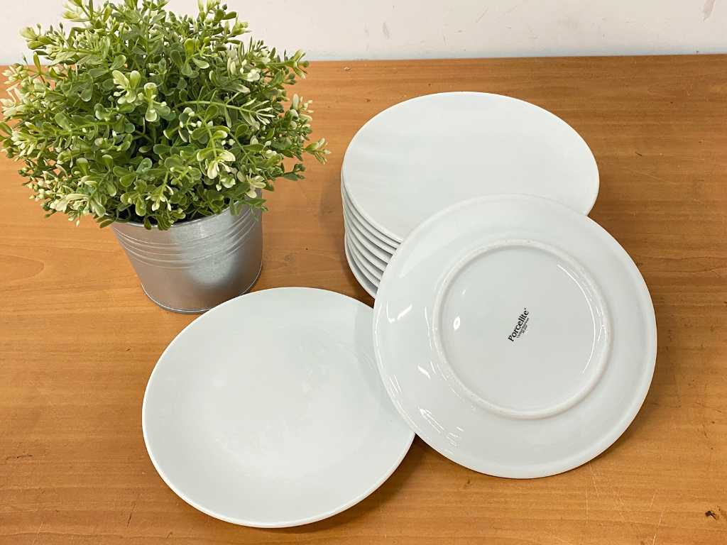 Porcelite plates 2024