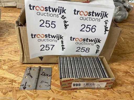 100 Edelstahlscharniere