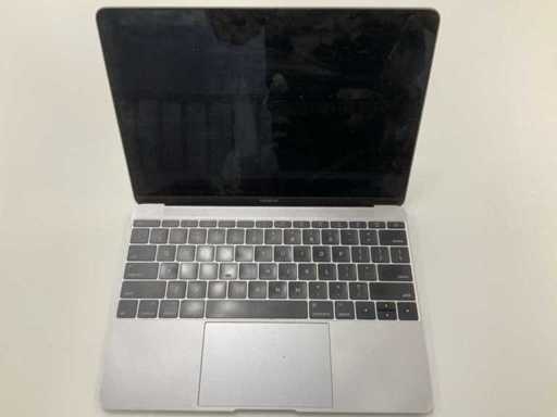 Apple A1534 MacBook MNYF2LL/A 12 pouces