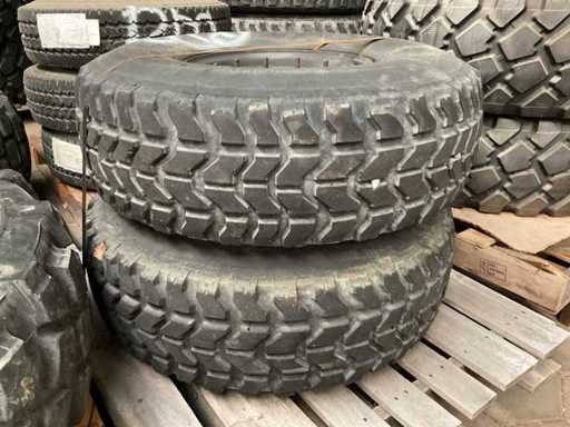 Trupa de Anul Bun (2x)