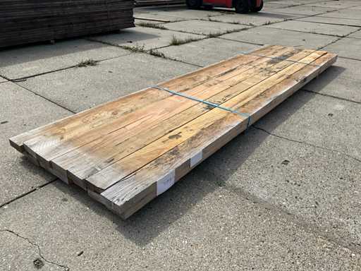 Fascicul Douglas (14x)