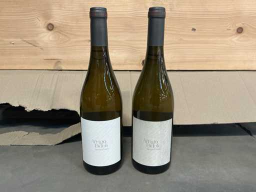 2023 ARRIGO BIDOLI Witte wijn (6x)