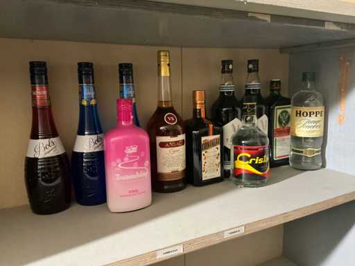 Diverse sterke drank (11x)