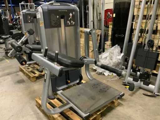 Elektrownia przedłużająca Precor Discovery Glute