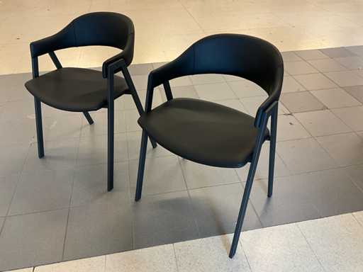 Perfecta Arca Eetkamerstoel (2x)