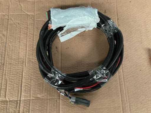 Faisceau de câblage ramifié