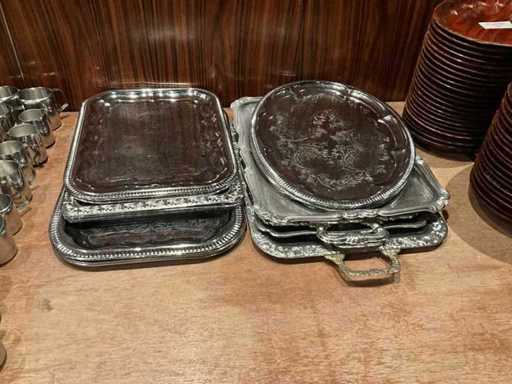 Rvs serveerschalen (19x)