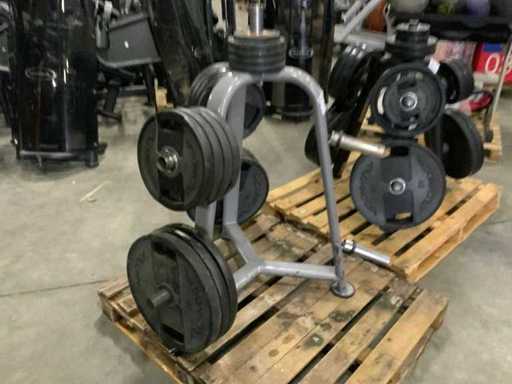 Disques Technogym 7x20kg ; 8x10kg ; Multi-gym 4x1,25kg