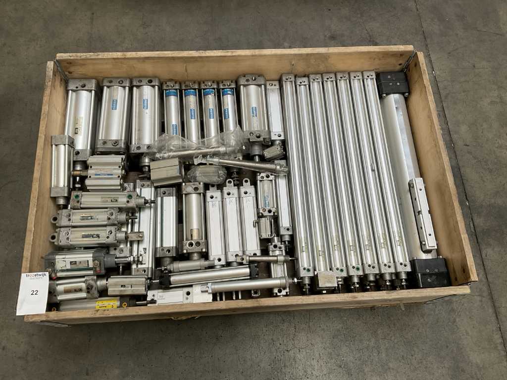 Batch of pneumatic cylinders
