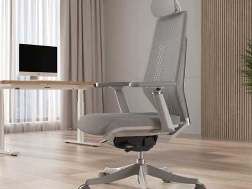 Chaise de Bureau Ergonomique, Chaise de Bureau réglable en Hauteur
