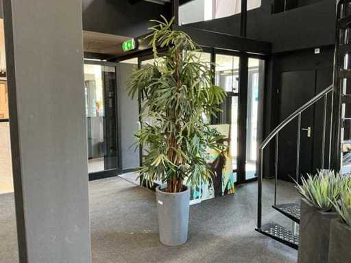 Krayenhoff Rhapis Kunstpalm