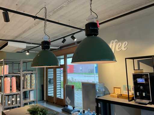 Anne TM Industrial pendant lights (2x)