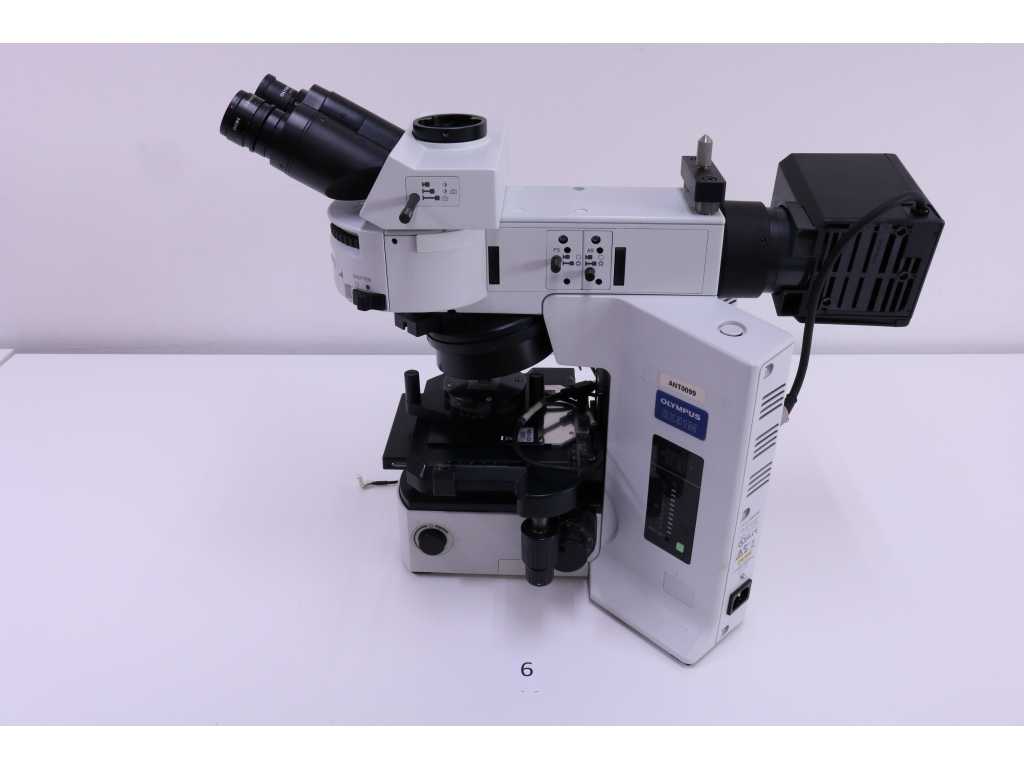 Microscope - Olympus BX51M