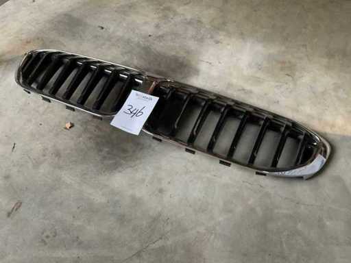 BMW Grill