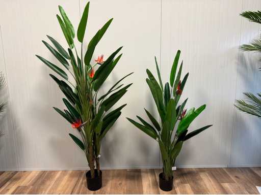 Sztuczna roślina Real touch Strelitzia (2x)