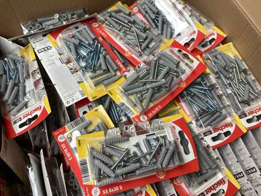 Fischer Plug avec vis 6x30 (70x)