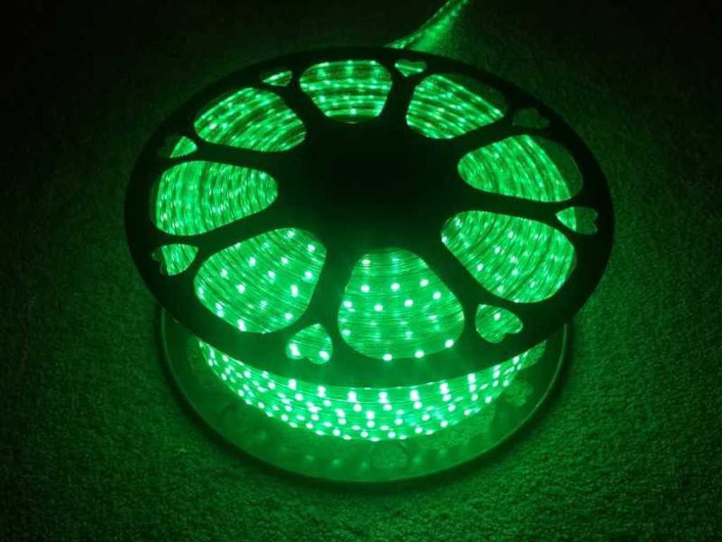 50M Dubbele Rij LED Strip waterdicht Groen