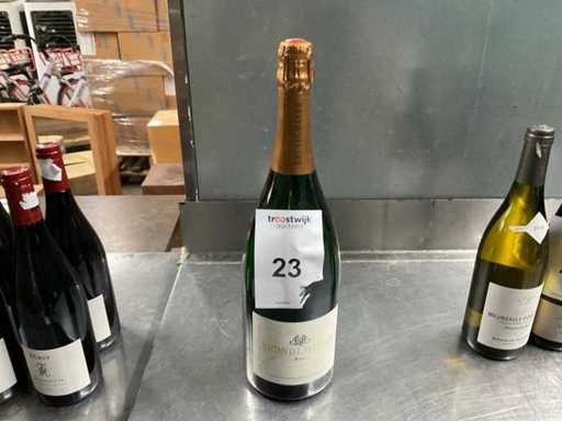 2023 Bründlmayer Brut Champagne